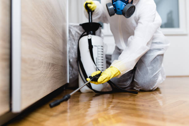 Best Pest Prevention Services  in Harrodsburg, KY