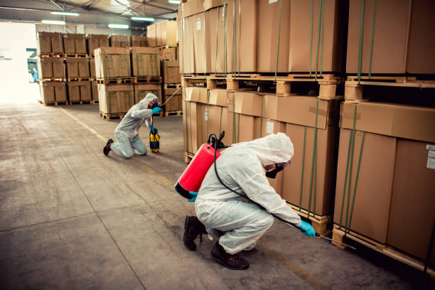 Best Ant Control Services  in Harrodsburg, KY