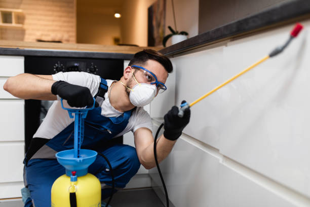 Best Local Pest Control Services  in Harrodsburg, KY