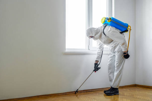 Best Affordable Pest Control Services  in Harrodsburg, KY