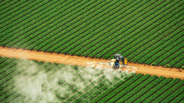 Insect Control in Harrodsburg, KY
