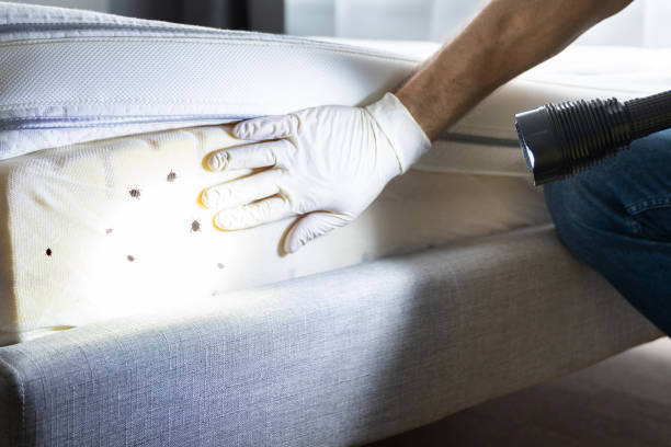 Best Best Pest Control Companies  in Harrodsburg, KY