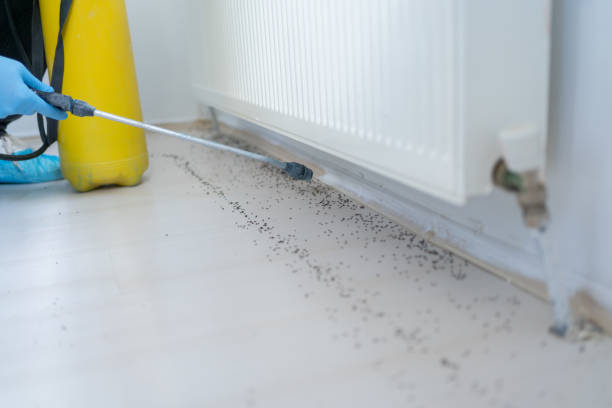 Best Cockroach Control Services  in Harrodsburg, KY