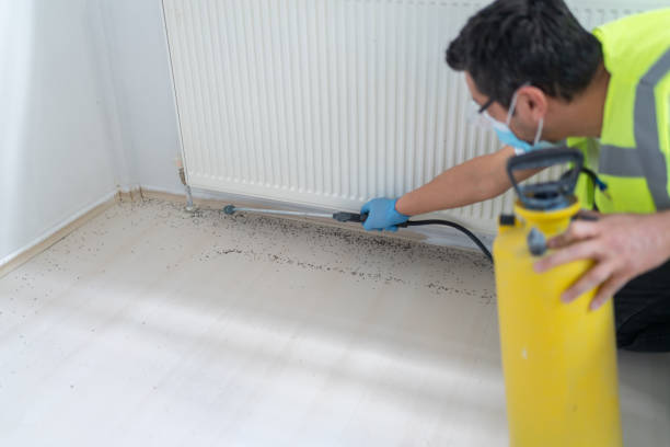 Best Pest Removal Services  in Harrodsburg, KY