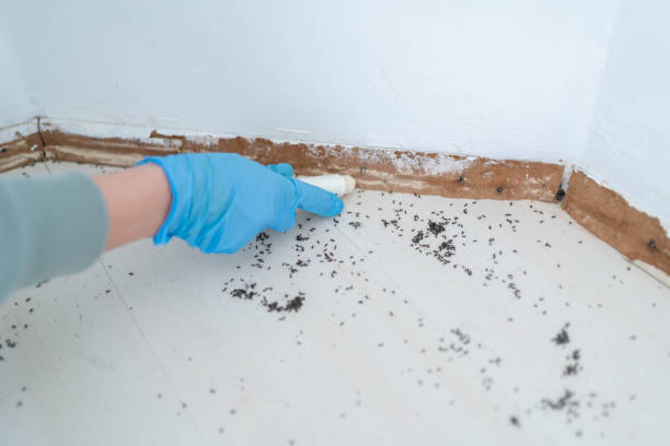 Best Exterminator Services  in Harrodsburg, KY