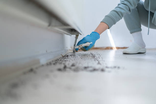 Best Commercial Pest Control Services  in Harrodsburg, KY